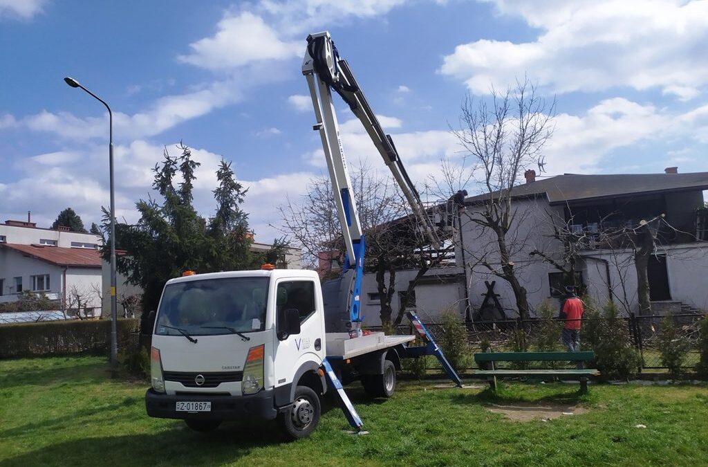 Przycinki i wycinki drzew
